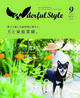 Wonderful Style
