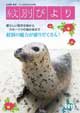 紋別びより