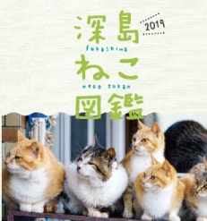 深島和和図鑑2019
