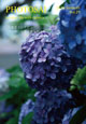 PHOTOSAI