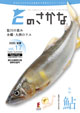 Eのさかな
